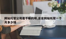 网站托管公司是干嘛的呀,企业网站托管一个月多少钱