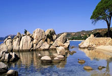 网站托管服务运营规范要求有哪些,网站托管内容